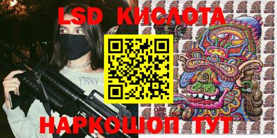 гидра Новозыбков