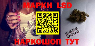 гидра Новозыбков
