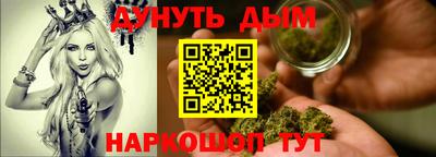 гидра Новозыбков