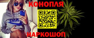 гидра Новозыбков