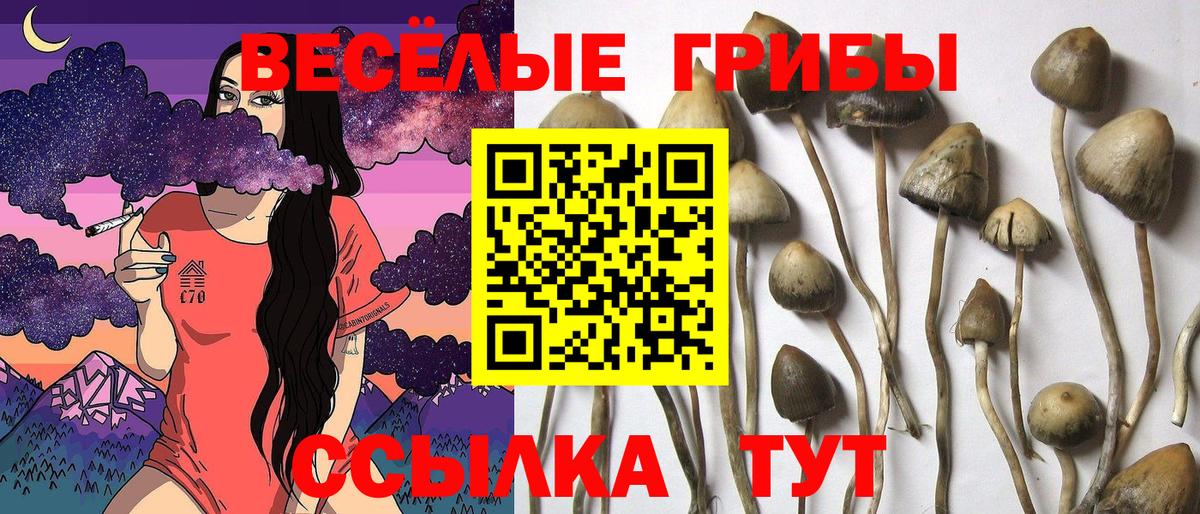Галлюциногенные грибы MAGIC MUSHROOMS Полевской